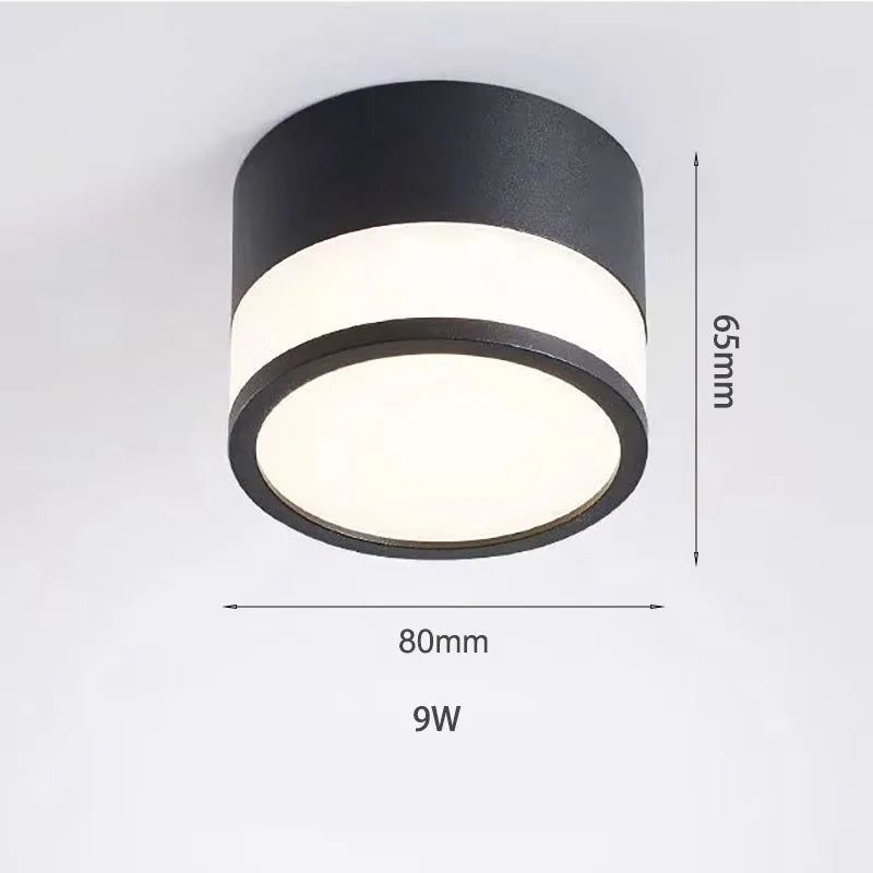 Nordic Surface Mounted LED Downlight in Black, Small