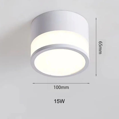 Nordic Surface Mounted LED Downlight in White, Large